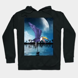 Funny toucan flying in the night Hoodie